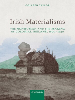 cover image of Irish Materialisms